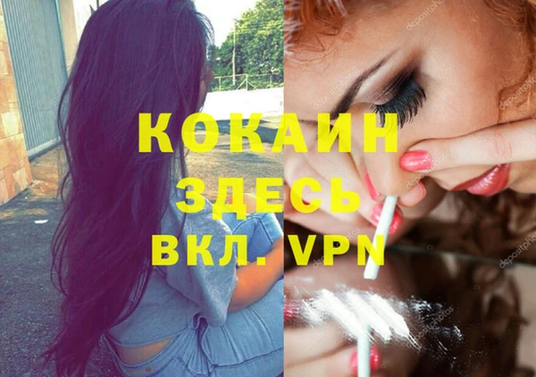 дживик Алзамай