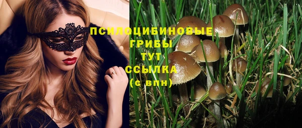 мяу мяу мука Алексеевка