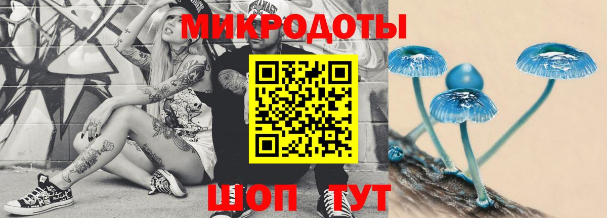 Галлюциногенные грибы Psilocybe Солнечногорск