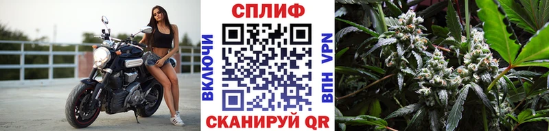 Канабис SATIVA & INDICA  Солнечногорск 